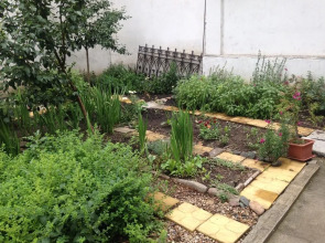 Elysia Hostel - The Blessed Home