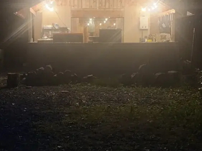 Alaska River Pirates Cabins