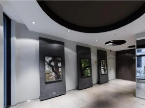 Kreutzwaldi Penthouse