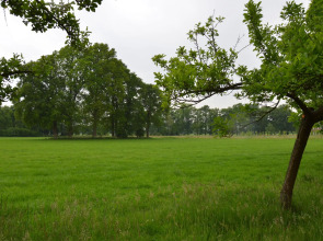 Rural Holiday Home, Wildlife Spotting Achterhoek
