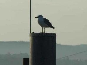 Gastehaus Zur Seepromenade