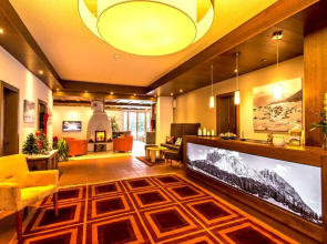 Hotel Witt