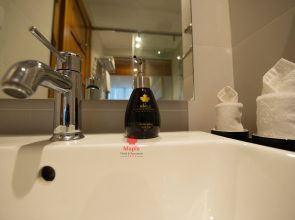 Maple Hotel & Apartment