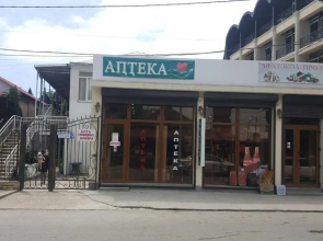 Guest house on Sosnalieva 12