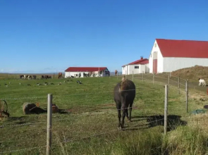 Hreidurborg Holiday Home