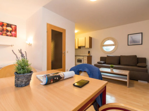 Apartment Hofwiesengasse