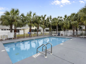 Seashells on Seashore by Book That Condo