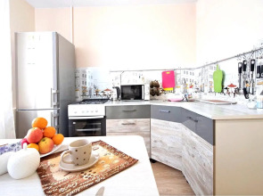 Apartment Four Seasons md. Mirny 2/1