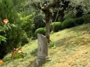 Villa Cicchi