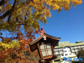 Fuji-View Hotel