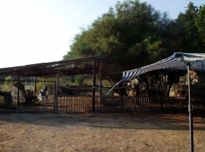 Camping Afrodite