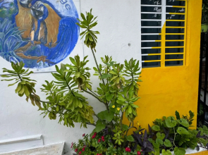 Casita Natural Village #4