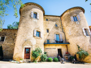 Chateau d'Ige