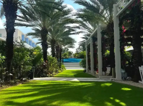 The Grove