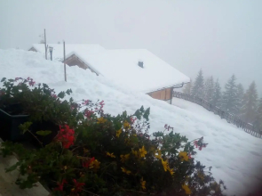 Chalet Niederhaushof