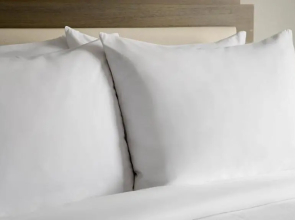 TownePlace Suites by Marriott Detroit Allen Park