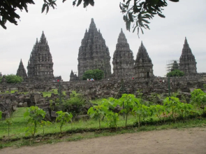 Rosella Cottage - Homestay - Kitchen Yogyakarta