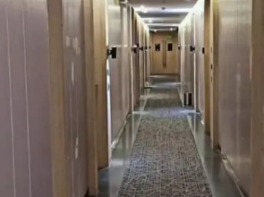The luxury apartments