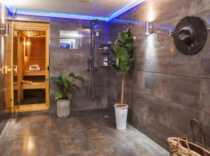 Swifts Return - Apartment with hot tub, sauna and indoor pool (Dartmoor)