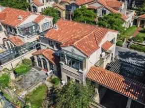 Ai party villa party