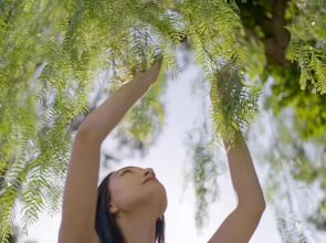 Botania Relais & Spa - The Leading Hotels of the World.