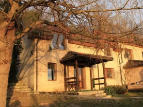 Między drzewami