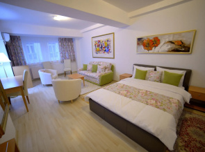 Bucur Accommodation
