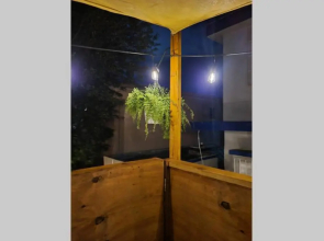Relaxing Tropical Studio