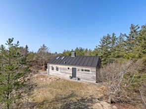 "Dorotej" - 250m from the sea in NW Jutland