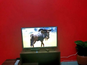 Eliphan Furnished Apartments