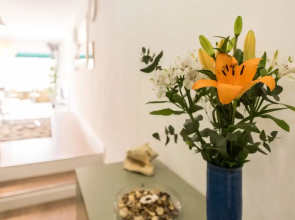 Apartamento Hopkins