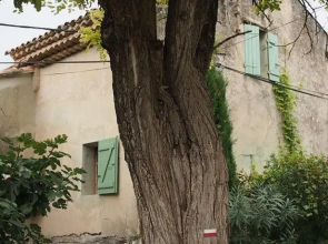 EMMA Guesthouse