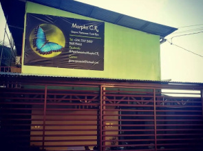 Guesthouse Morpho CR