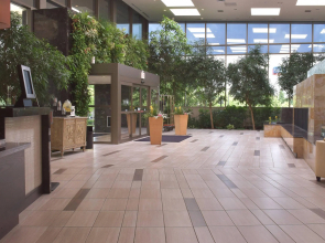 Marriott Indianapolis East