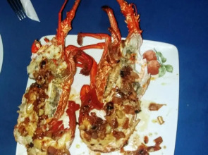 Malika's Yellow House