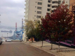 Departamento Vista al Mar