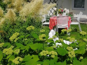 Secret garden house in the center of Sigulda