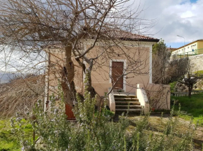 L'Antico Gelso