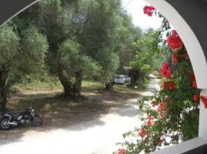 Anavra Studios