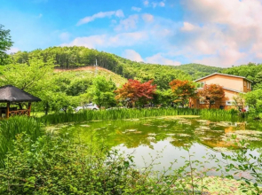 Yangpyeong Gireogi Pension
