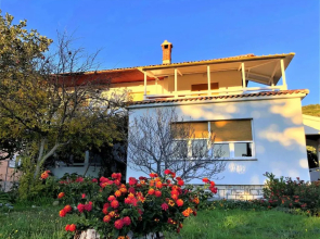 House Draga Accommodation