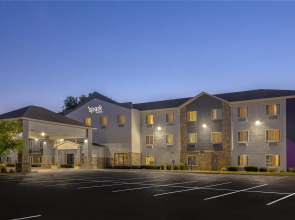 Spark by Hilton Ames