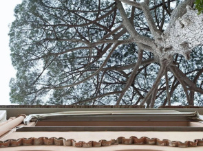 La Casa di Carla
