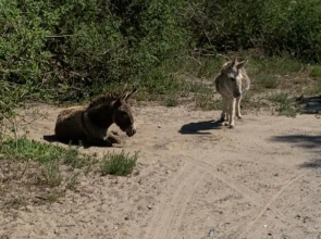 Fou d'eau 5e verdieping étage