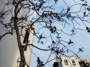 Bay Forest Boutique Hotel