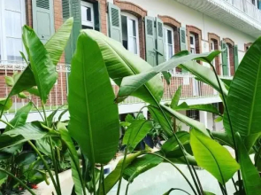 Appt Chalet Tarbes centre calme 2ch/Jardin