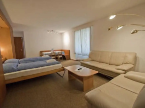 Haus Matten - Apartment Birch