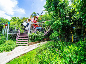 麓人甲包場-精靈屋