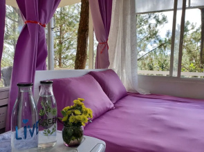Pine Hill Homes Dalat