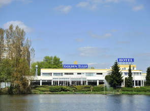 Golden Tulip